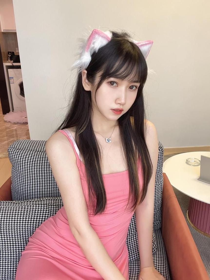 不呆猫合集图片：独特的摄影风格