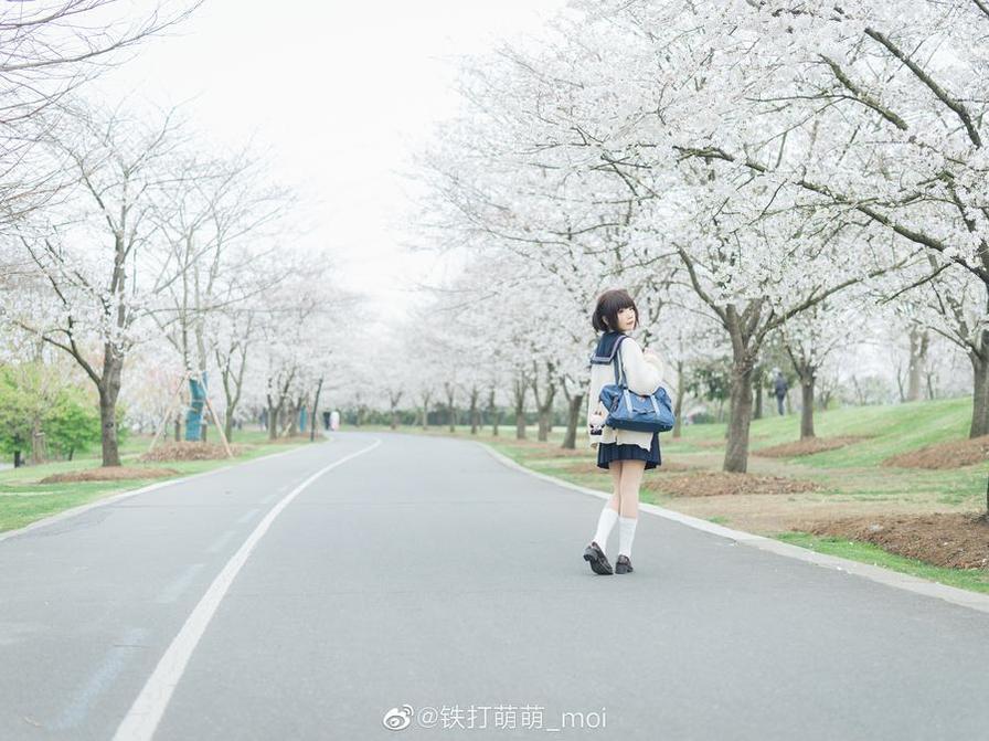 铁打萌萌资源百度网盘，放送唯美cos作品图包。